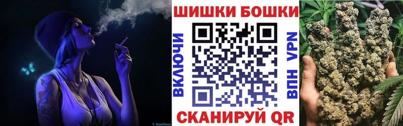 Шишки марихуана план  дарнет шоп  Светлоград 